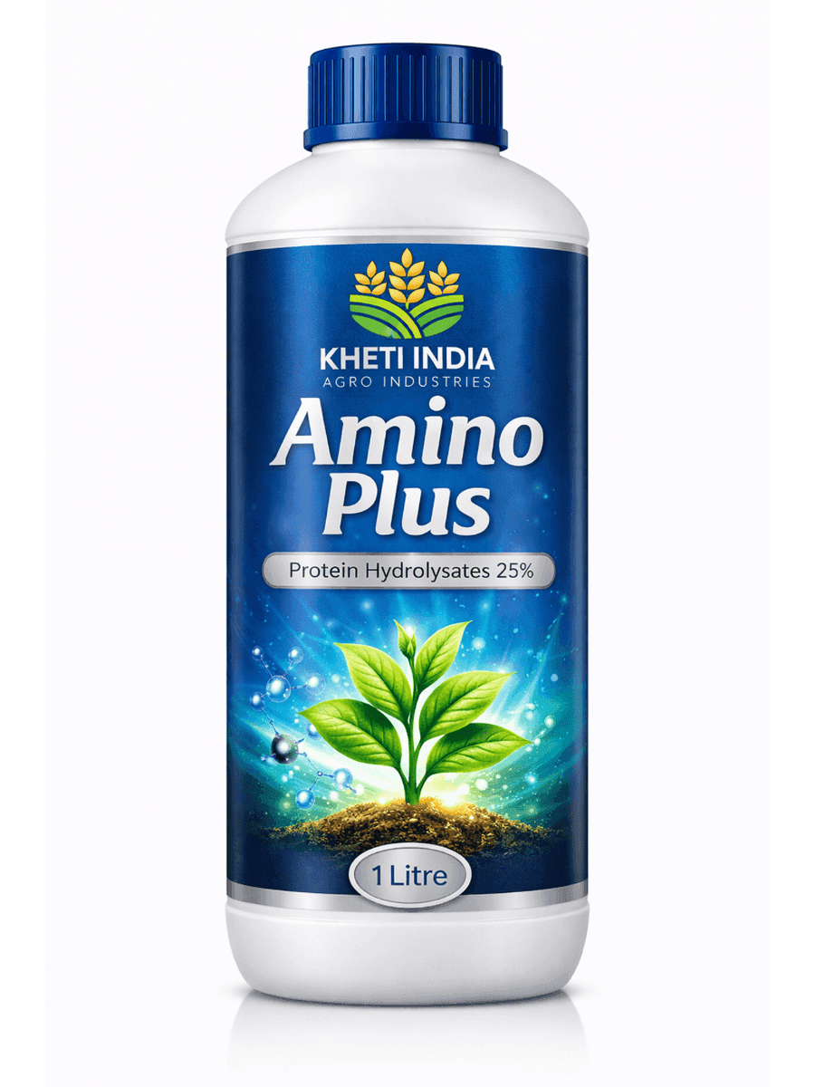 Amino Plus