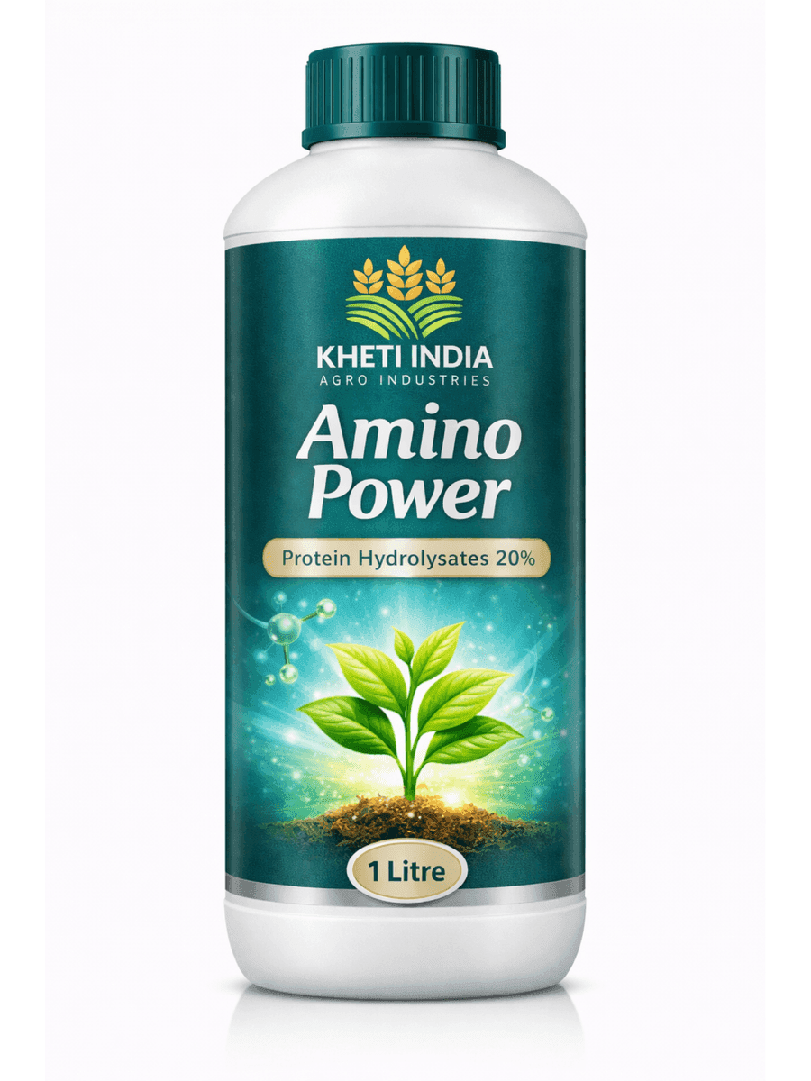 Amino Power
