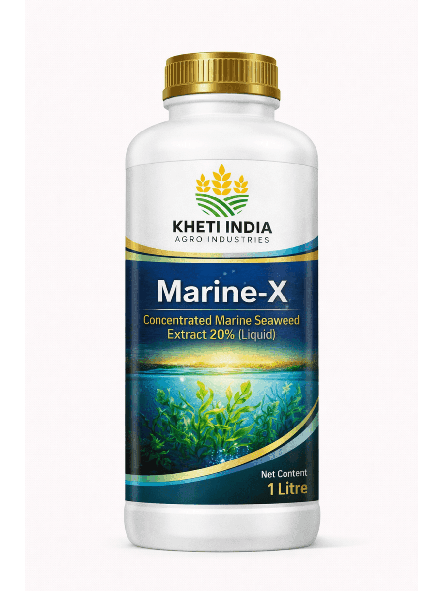 Marine-X