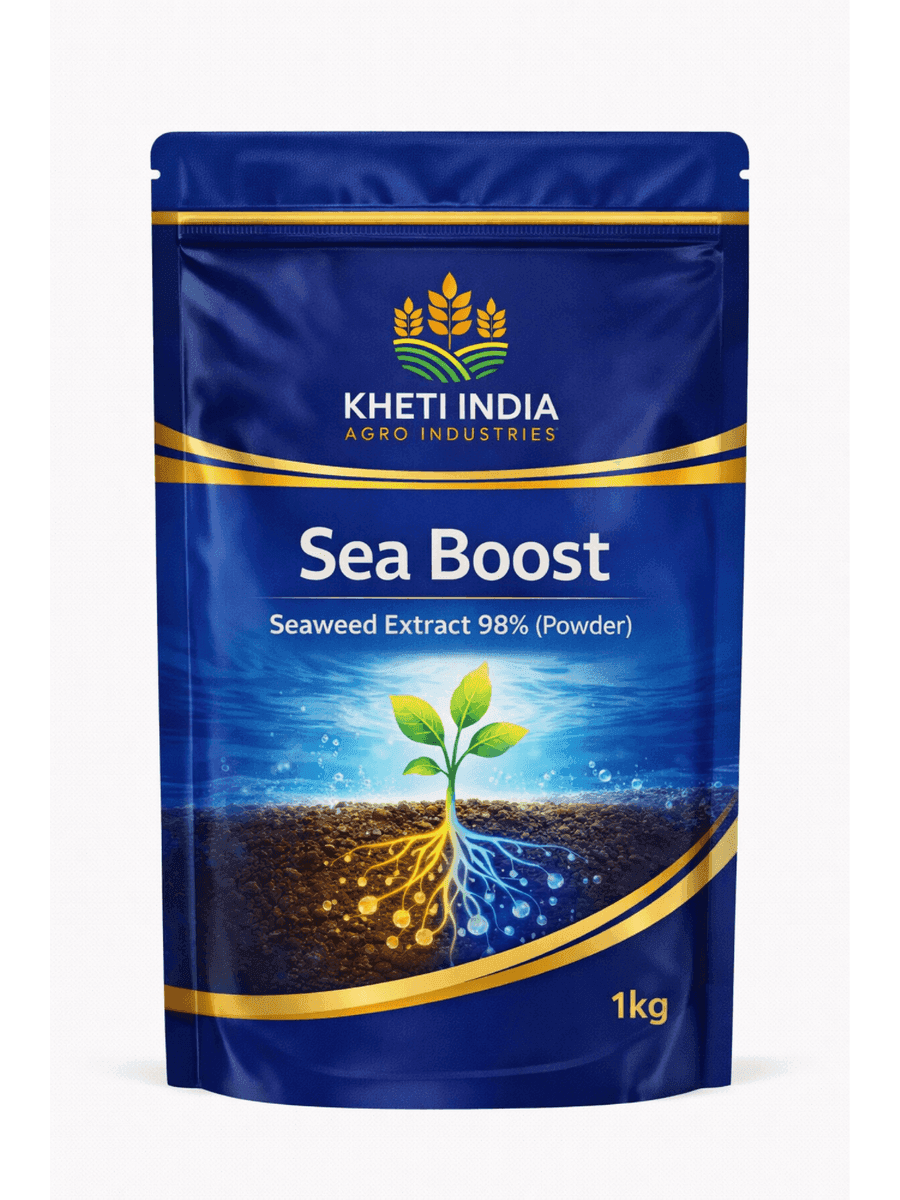 Sea Boost