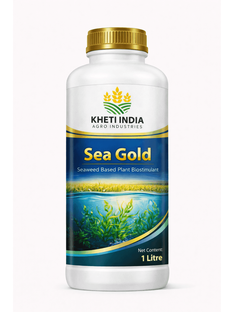 Sea Gold