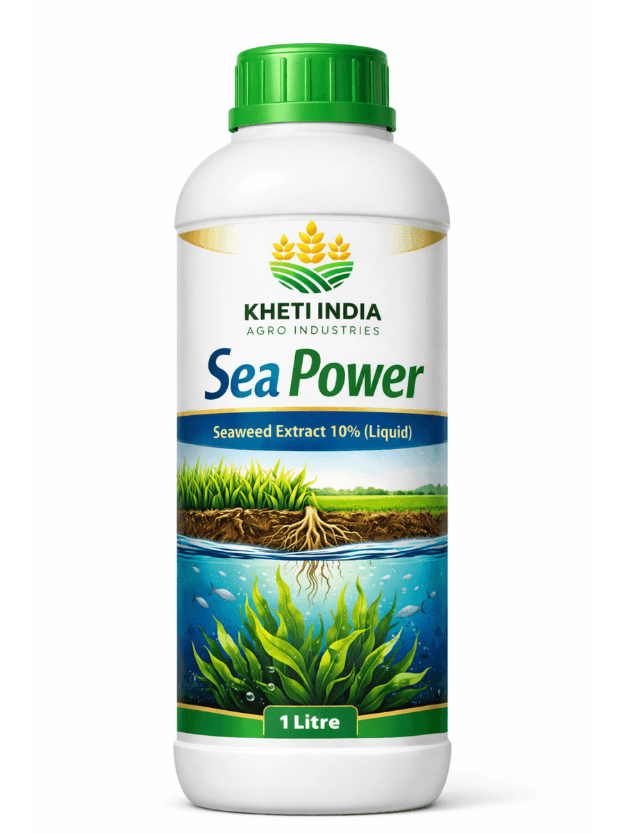 Sea Power