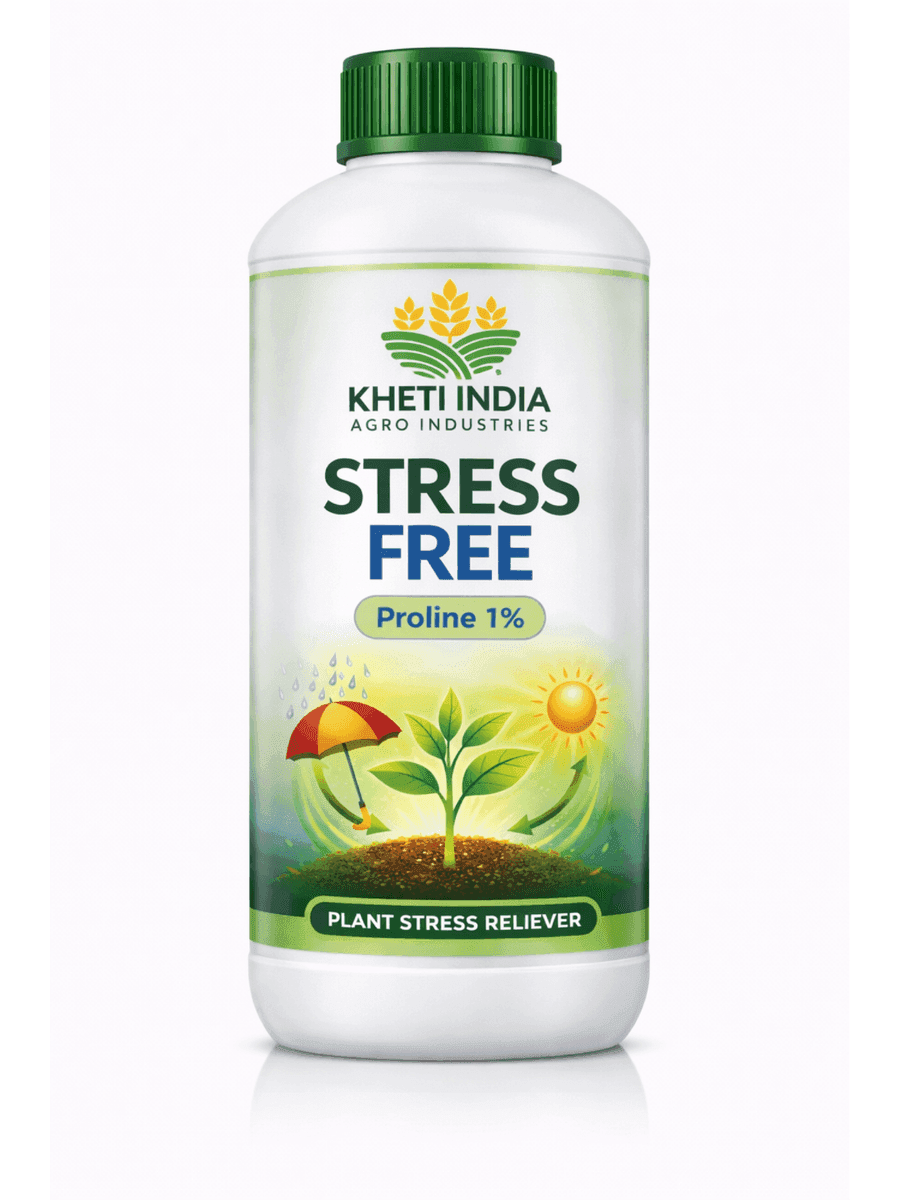 Stress Free