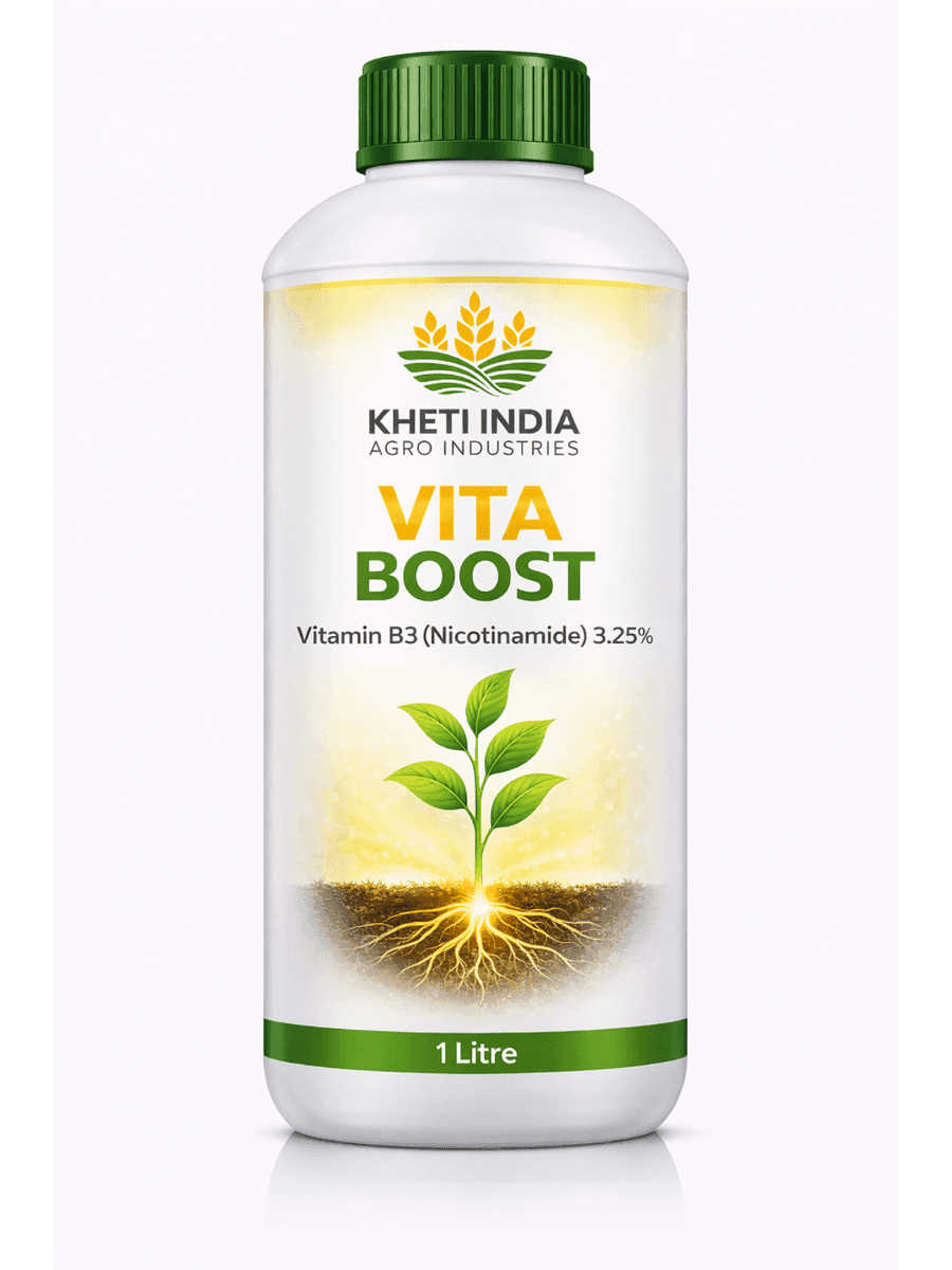 Vita Boost