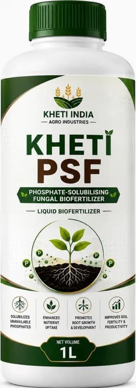 Kheti PSF — Phosphate-Solubilising Fungal Biofertilizer (Liquid)