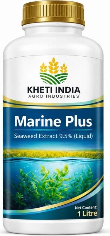 Marine Plus — Seaweed Extract 9.5% (Liquid)