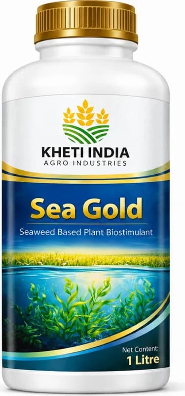 Sea Gold — Seaweed Based Plant Biostimulant