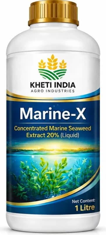 Marine-X — Concentrated Marine Seaweed Extract 20% (Liquid)