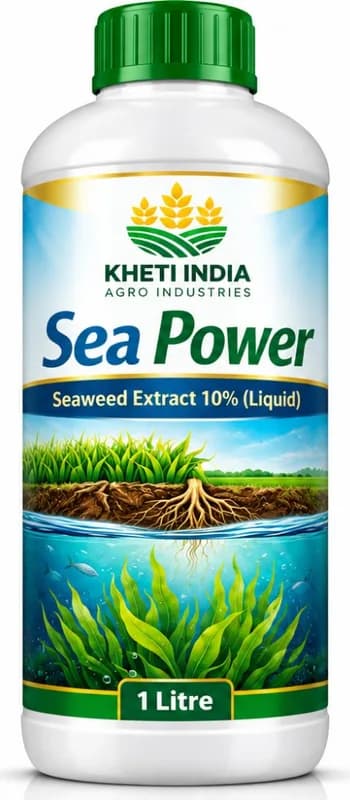 Sea Power — Seaweed Extract 10% (Liquid)