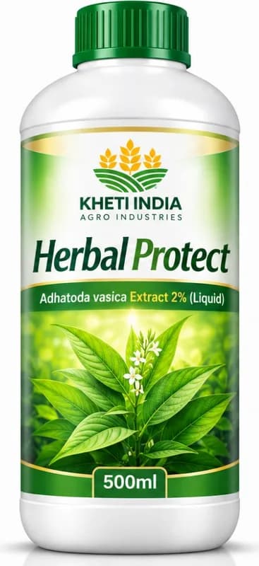 Herbal Protect — Adhatoda vasica Extract 2% (Liquid) - plant based botanical extract