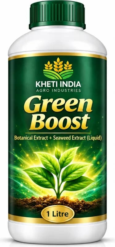 Green Boost — Botanical Extract + Seaweed Extract (Liquid)