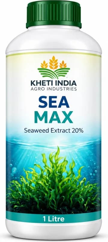Sea Max — Seaweed Extract 20%