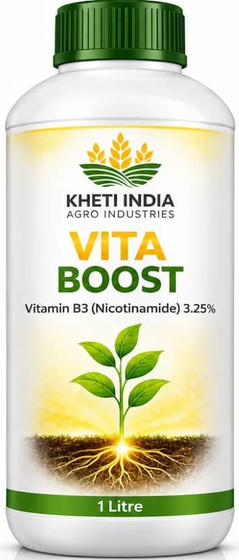 Vita Boost — Vitamin B3 (Nicotinamide) 3.25%