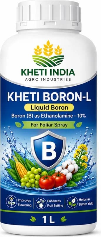 Kheti Boron-L — Liquid Boron - Boron (B) as Ethanolamine 10%