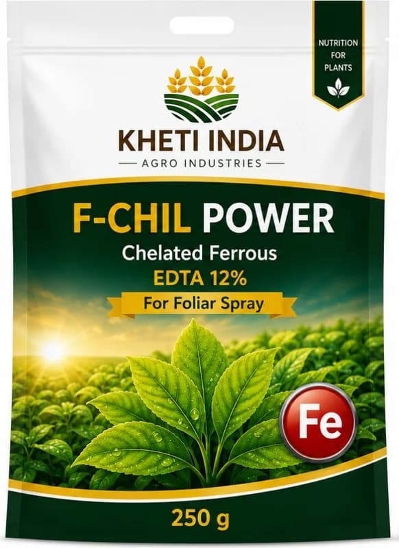 F-Chil Power — Chelated Ferrous (Iron) EDTA 12%